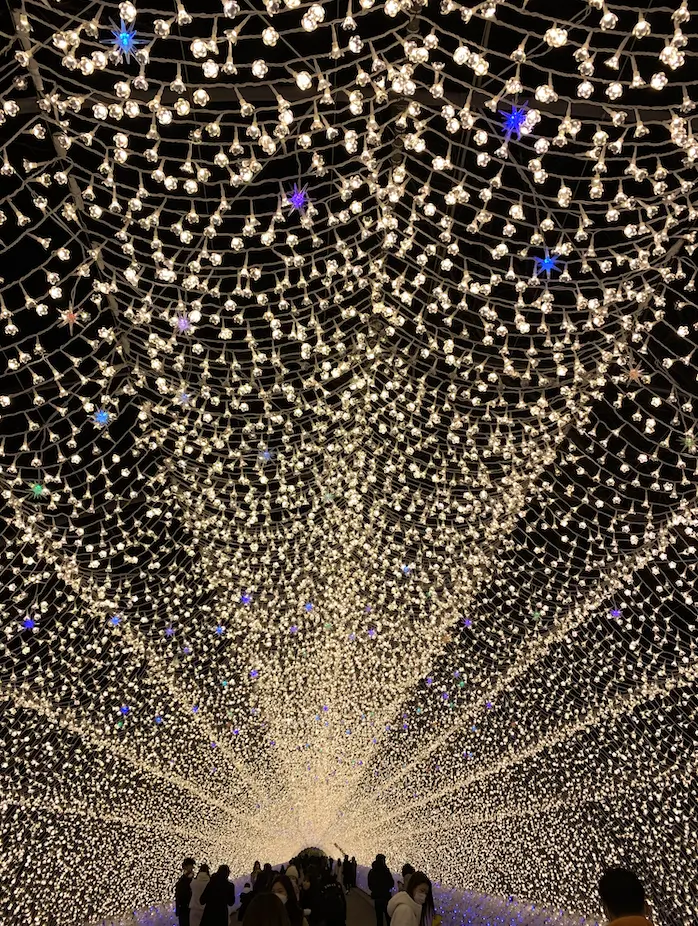 名古屋名花之里日本第一夜間燈飾展