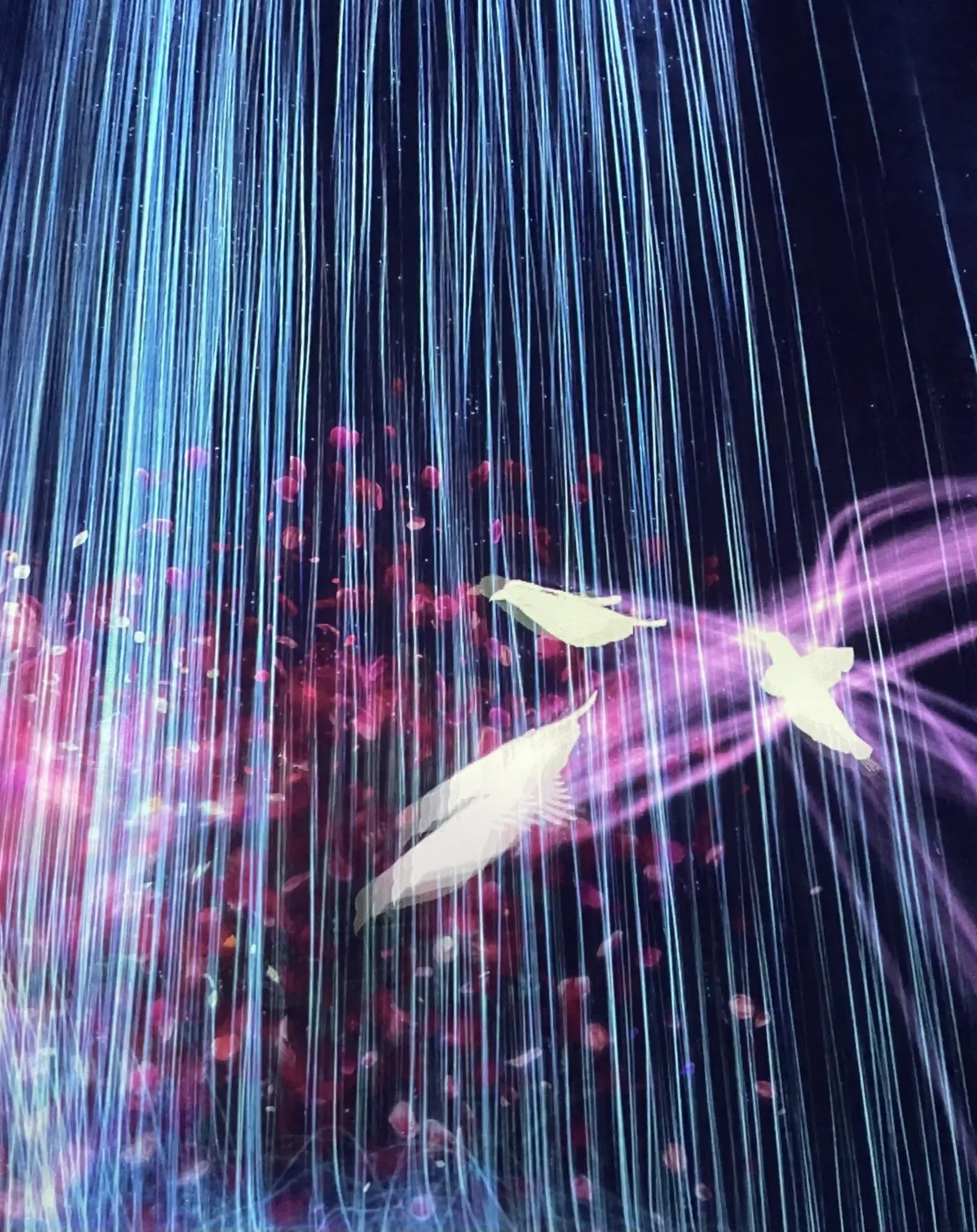 東京 teamLab 展覽分享